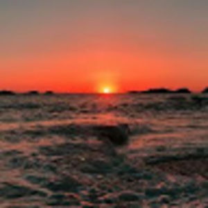 Meet your Posher, Mari